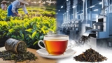 Разликите между производството на ортодоксален и CTC чай